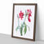 Brazilian Amaryllis Flowers by Pierre-Joseph Redoute - Picture Frame Painting Print-55513168-55513173