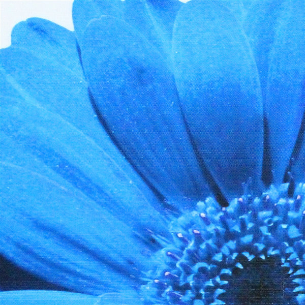 Coussin intérieur / extérieur 'Daisy Flower, bleu