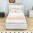 Wood Full Upholstered Platform Bed with Trundle and Headboard-544511614