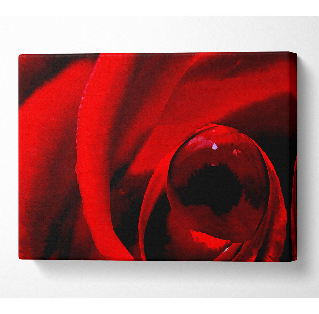 Rote Rose in der Mitte des Taus - Wrapped Canvas Art Prints