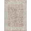 Ziegler Wool Oriental Area Rug