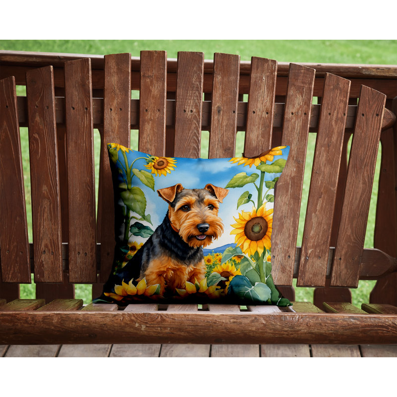 Other/No Pattern Outdoor Throw Pillow, 14" H x 14" W