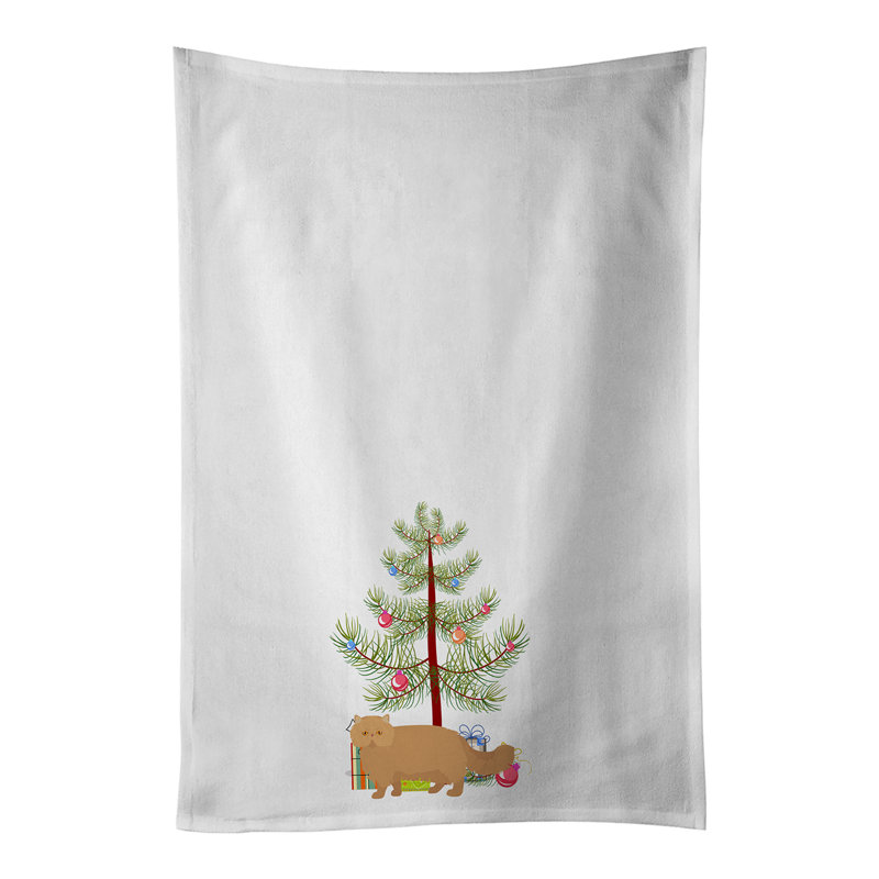 Ensemble de 2 serviettes de cuisine persan Modern