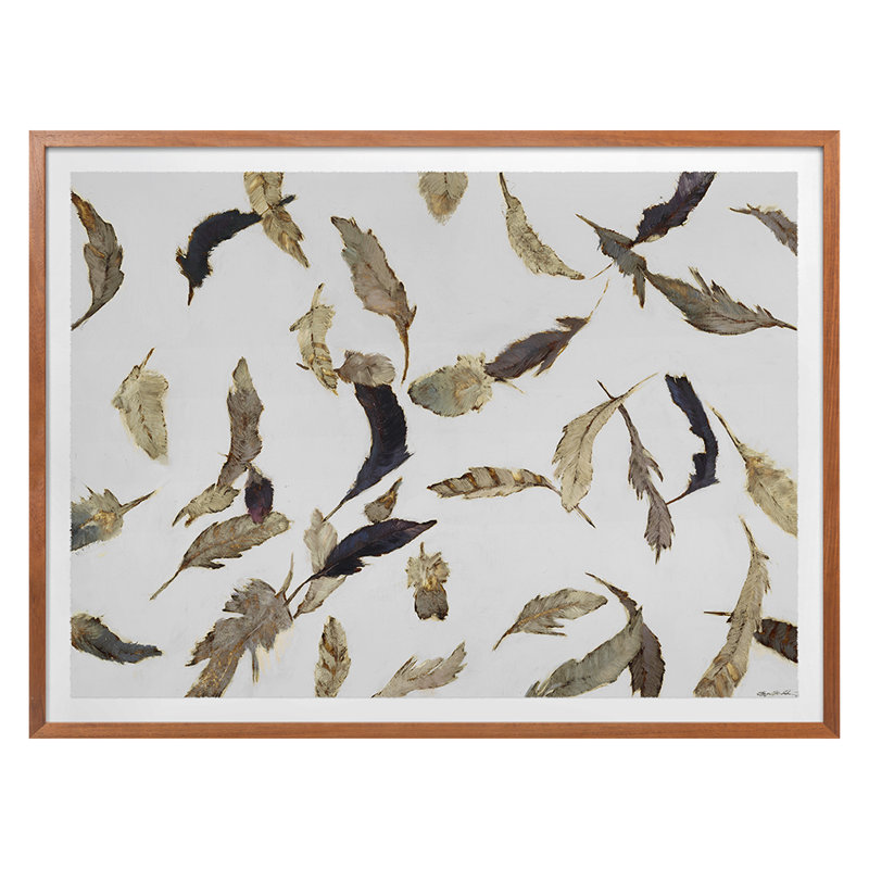 Falling Feathers White 2 Print by Atkinson, Sarah, Walnut Single Picture Framed, 24'' H x 30'' W
