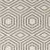 Indoor/Outdoor Area Rug