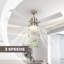 Caisha Ceiling Fan with LED Lights-1358752878
