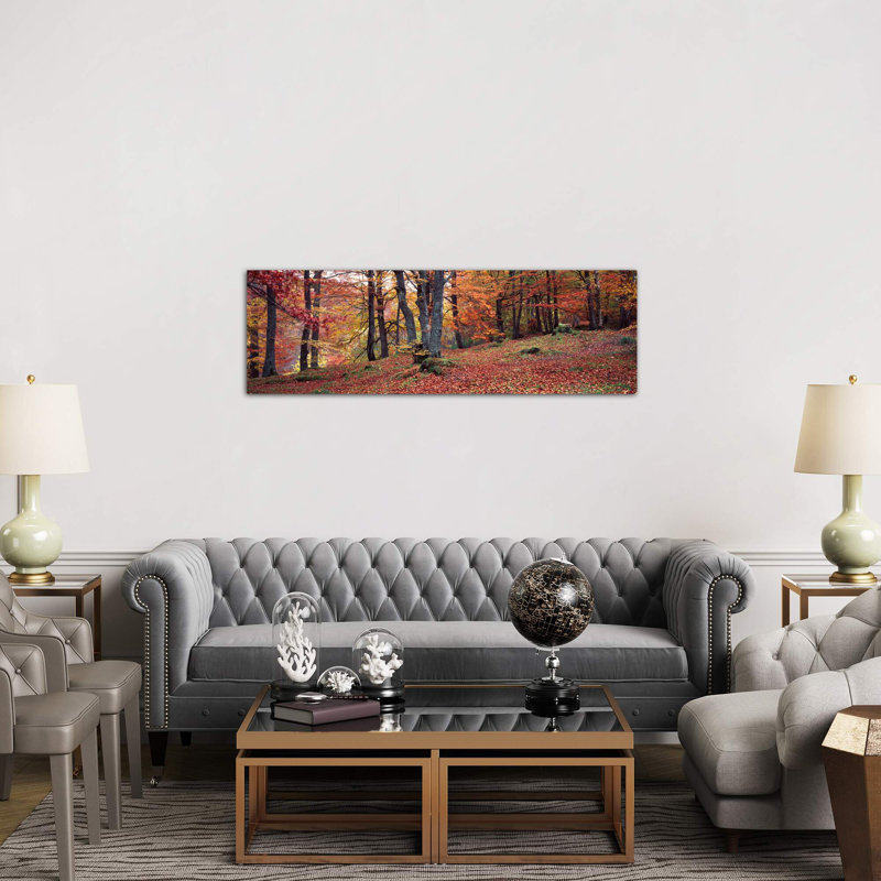 Beech Trees In Autumn, Aberfeldy, Perth And Kinross, Scotland - Wrapped Canvas Panoramic Print