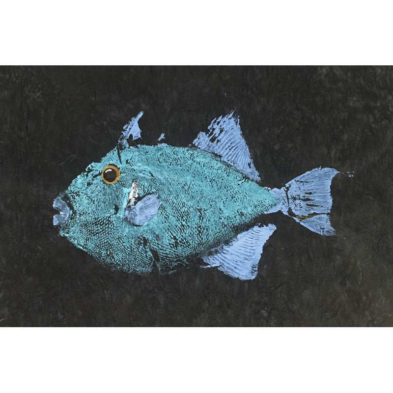 « triggerfish » par warren, les vendeurs, reproduction d’art sur toile tendue, H 40 po x l 60 po x P 1,5 po