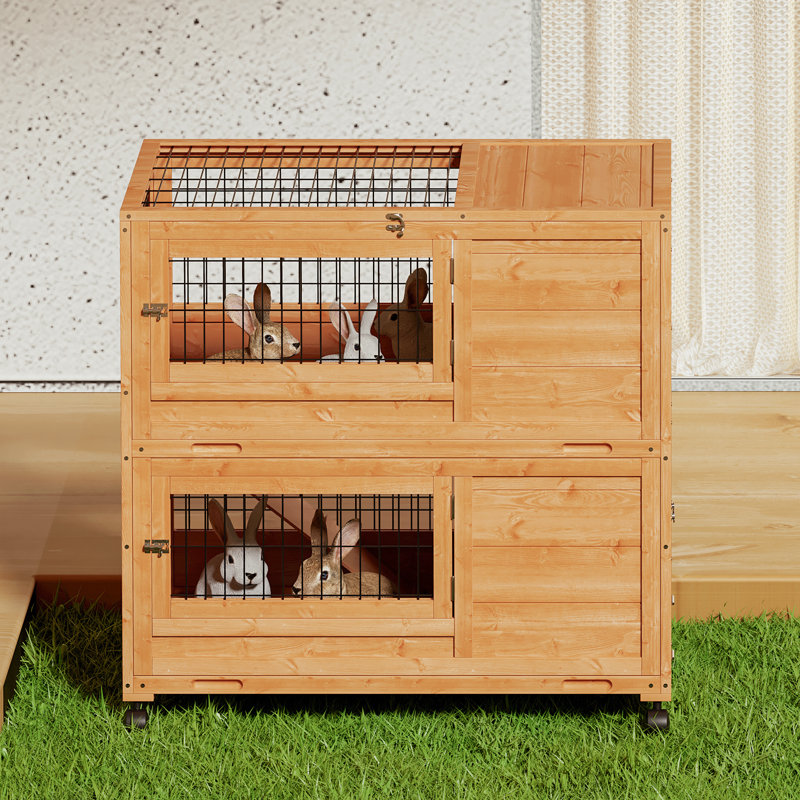 Sale wayfair bunny hutch Top Sellers