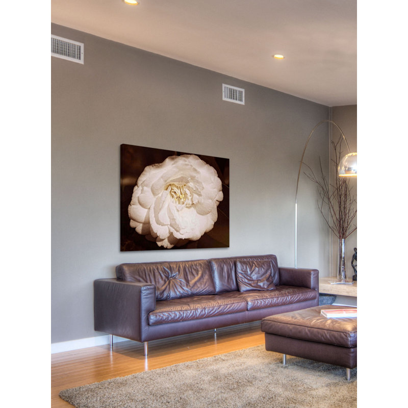 White And Willing In Sepia by Leda Robertson - Wrapped Canvas Print, 101cm H x 152cm W