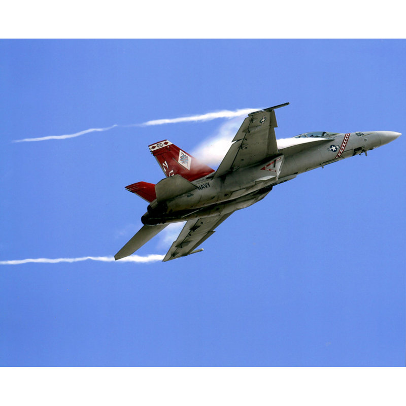FA-18 F Super Hornet, marine des États-Unis, H 15 po x l 18 po