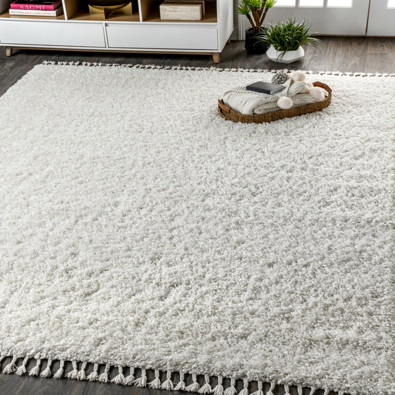 Tapis blanc à poil long et pampilles Felicdad, Rectangle 3 pi 1 po x 5 pi