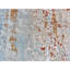 Tapis en laine noué à la main à motif abstrait 3 pi 2 po x 5 pi 5 po B4C3B767413C4355BFD5AEFC6BC8EFCE