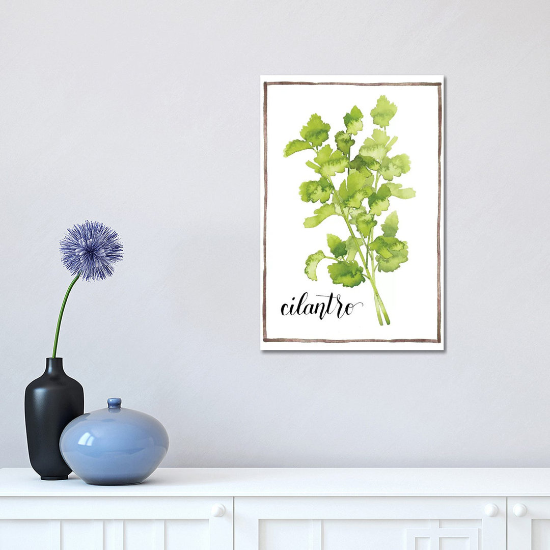 Watercolour Herbs IV - Wrapped Canvas Graphic Art