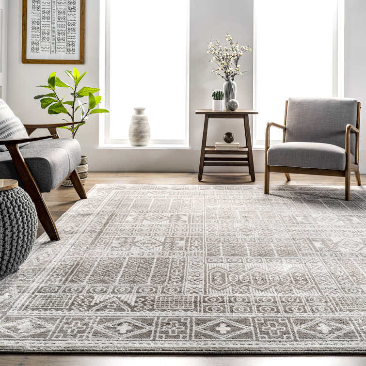 Akimitsu Southwestern Gray Area Rug