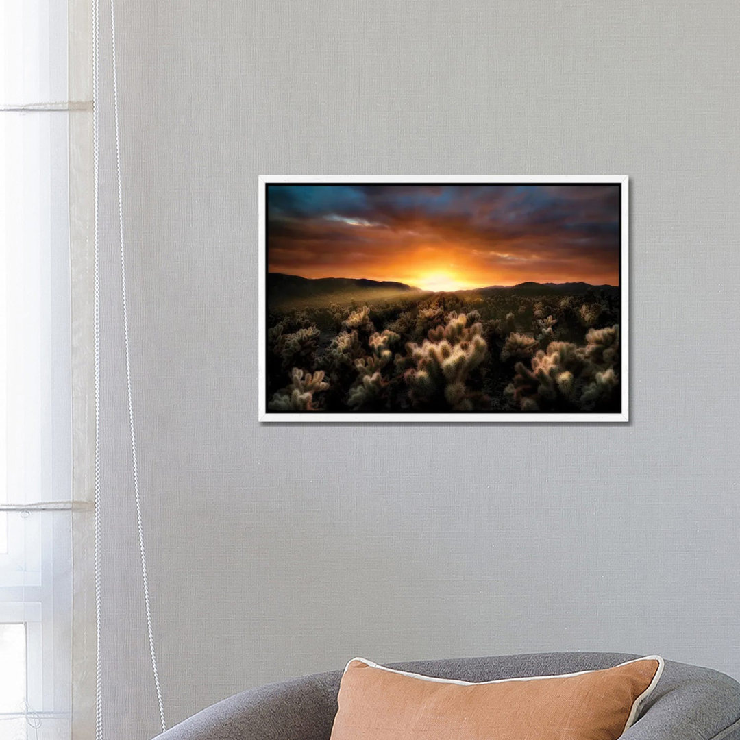 Cholla Sunrise von Dennis Frates - Giclée auf Leinwand