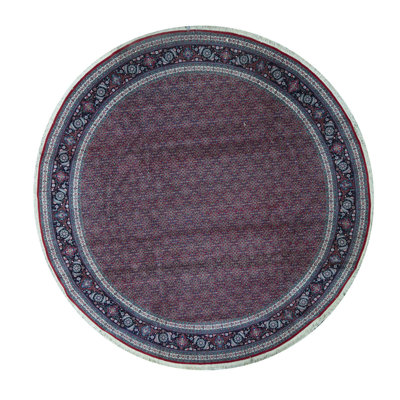 Wool Oriental Area Rug in Rust/Navy