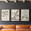 Antique sépia botanicals I - ensemble de 3 reproductions d'art sur toile-1241077294-1241077289