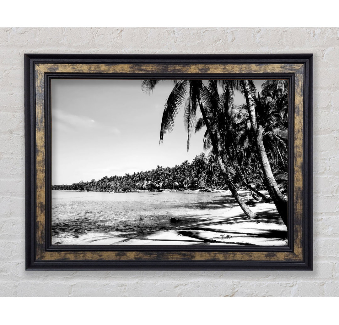 Beach Palms B N W - Druck