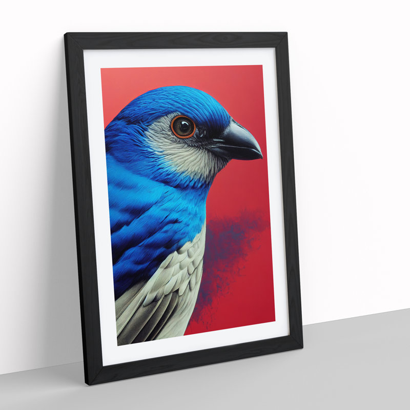 Splendid Bird - Wrapped Canvas Print, 64cm H x 46cm W x 2cm D, Black Framed