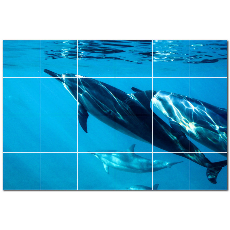 Murale décorative en céramique 4,25 po x 4,25 po Dolphin Photo
