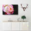 Pink Tipped Rose - Wrapped Canvas-56630720