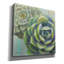 "Epic Graffiti" Succulents 2 "par Wellington Studio, art mural sur toile-106171851