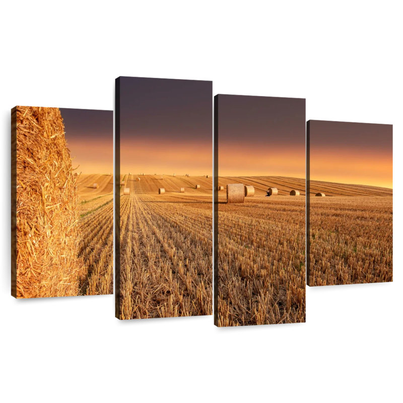 Alvord Bales At Sunset, 42" H x 68" W