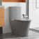 Elongated One Piece Toilet Dual Flush 1.1/1.6 GPF Water Saving Map 1000G