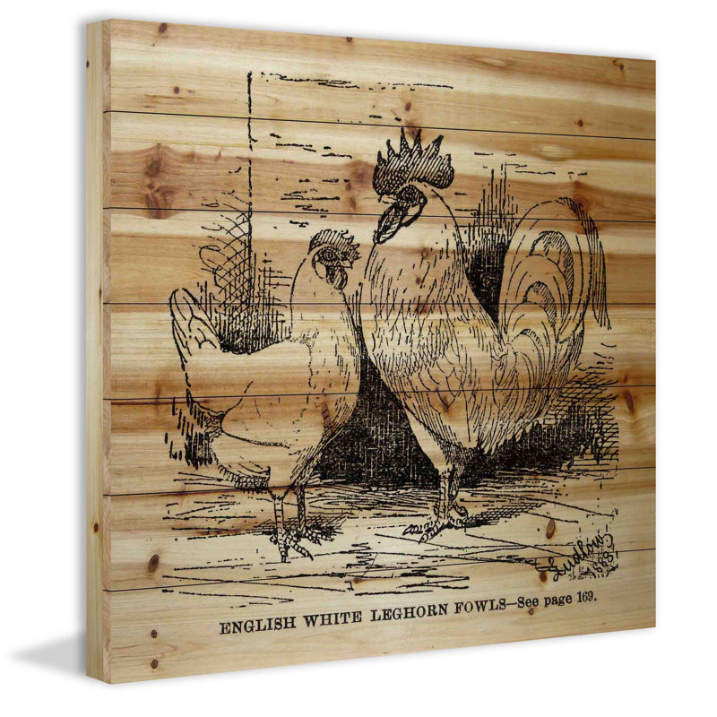 « white leghorn », impression sur bois, H 32 po x l 32 po