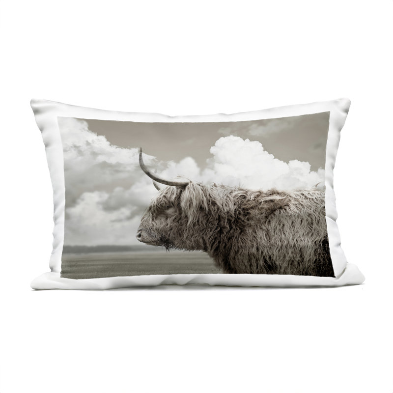 Longhorn Cattle & Clouds View Outdoor Printed Pillow design by CAD Designs