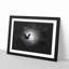 Flying Dove Bird - Picture Frame Graphic Art Print-56863237-56863238