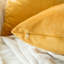 Housse de coussin en velours uni-344661269-352096247