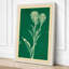 Cream Carnation Study Botanical - Wrapped Canvas-1116235534-1116235535