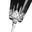 Waterford Lismore Black Goblet-72673172
