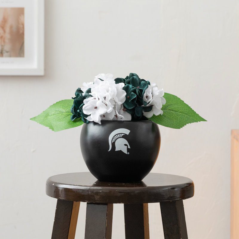 Hydrangea Arrangement, MSU