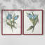 «Blue Tulip Picks I», reproduction encadrée de qualité supérieure - prête à être accrochée - aucun clou requis - aucun clou requis-338982192-338982198