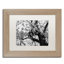 «Blossoms BW» par Caliel, reproduction de photo encadrée-20483167-20483166-70912241