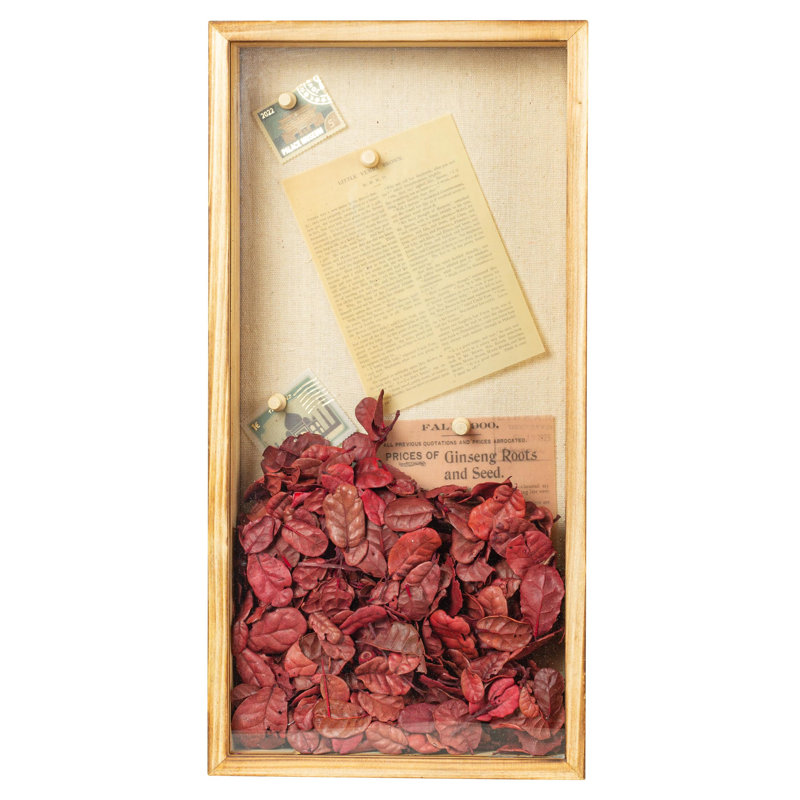 Shadow Box Frame 8X16 Shadow Box Display Case With Linen Back Of Awards Memorabilia Flower, Pictures, Keepsakes?Bouquet?Medals And More Photos Memory Box