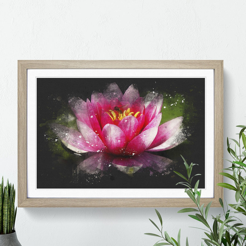 Pink Water Lily Flower Vol.3 - Picture Frame Graphic Art, 27cm H x 36cm W x 2cm D, Black Framed