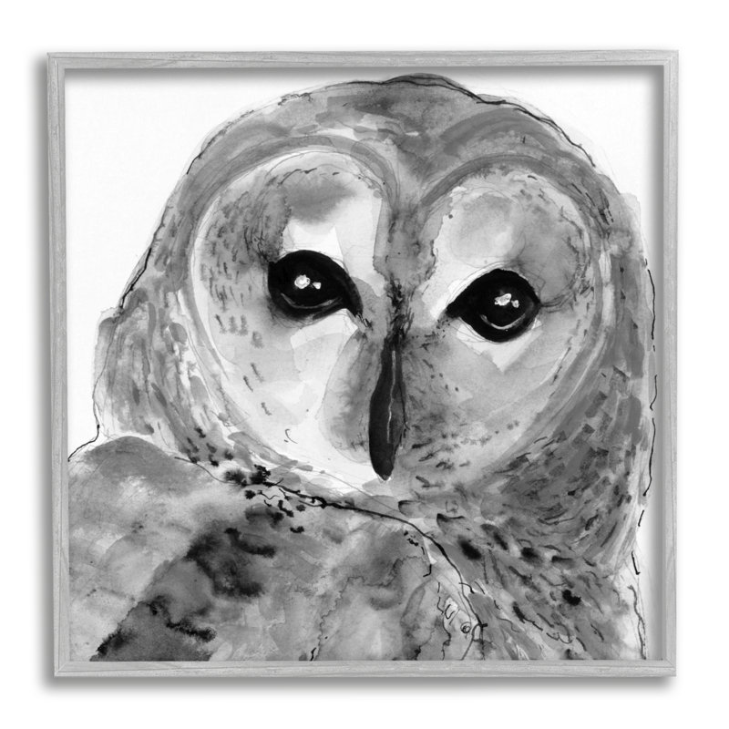 " Close Up Barn Owl Bird Gazing Ink Watercolor " by Patti Mann Painting Print, 24" W x 24" H, Farmhouse Grey Framed Giclee