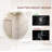 Shaunna Wall Mirror-221934523