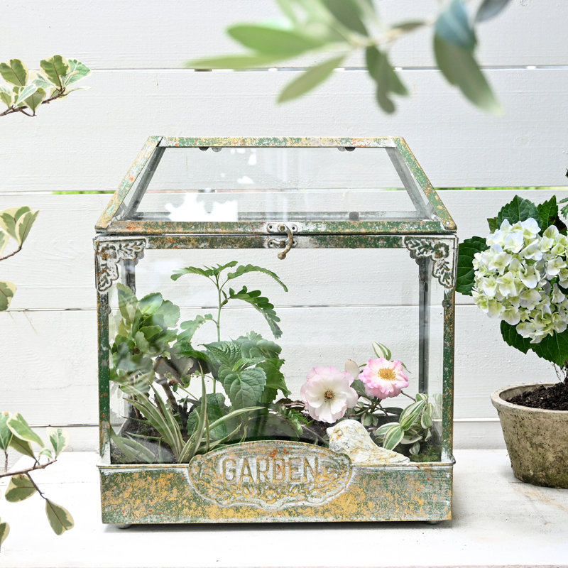 Terrarium en verre vintage avec couvercle - Serre rustique pour plantes grasses, Vert