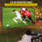 VEVOR Outdoor Portable Projector Screen Projector Screen