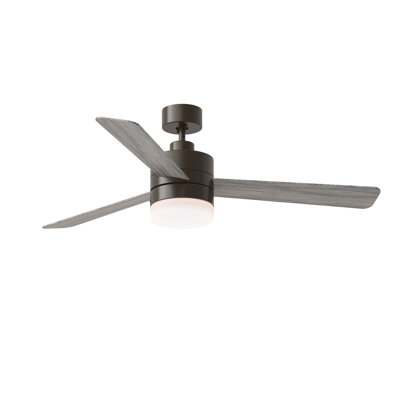 Adna 44'' Ceiling Fan with Light Kit