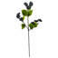 Grape Leaf Arrangement