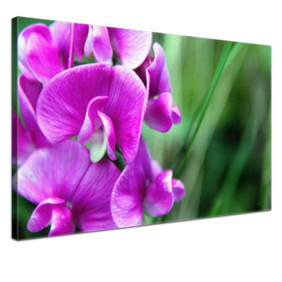 Print on Canvas
