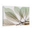 «Earthy Magnolia», toile tendue par Albert Koetsier-1356707679