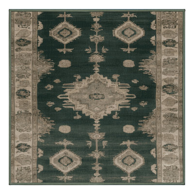 Machine Washable Overdyed Green Area Rug