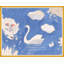 Swan In Lake Print by Paule Marrot-78653949-78653946